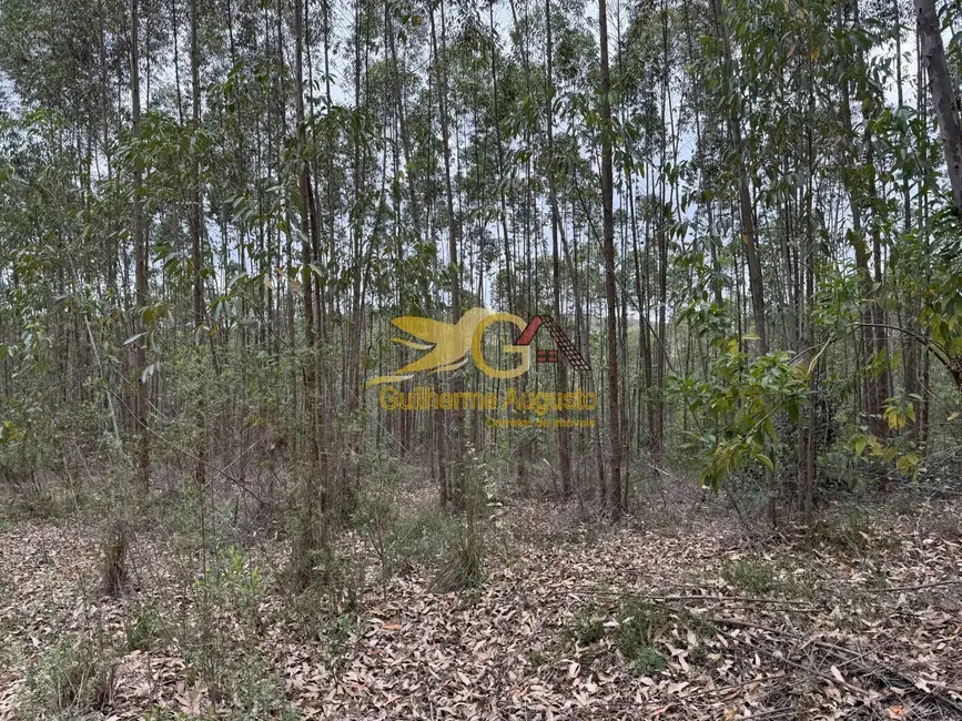 Foto 5 de Terreno / Lote à venda, 56m2 em Sao Joao Del Rei - MG