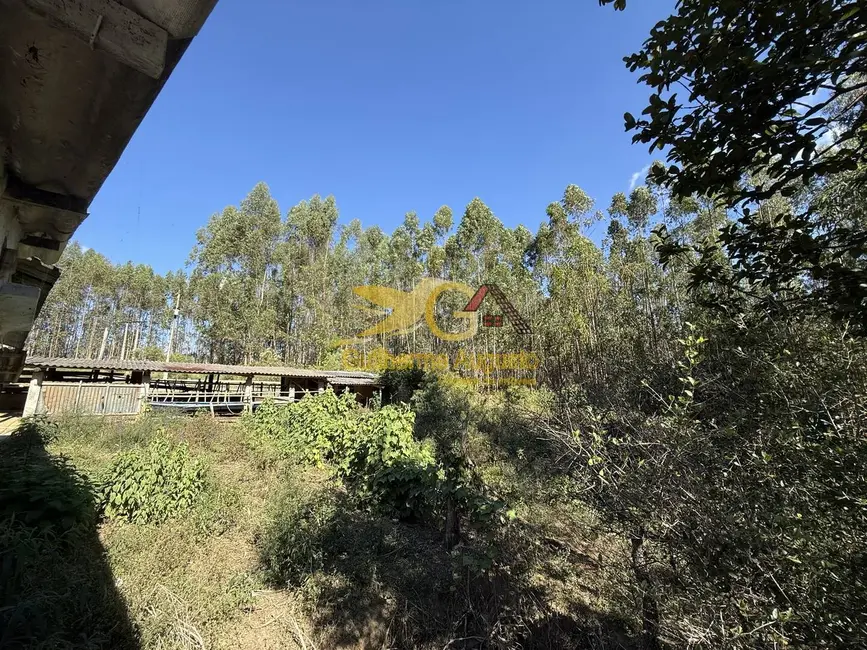 Foto 1 de Sítio / Rancho com 3 quartos para alugar, 30m2 em Sao Joao Del Rei - MG