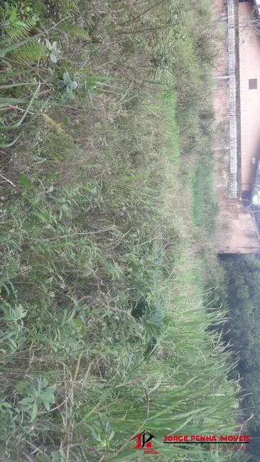 Foto 4 de Terreno / Lote à venda, 250m2 em Itanhaem - SP