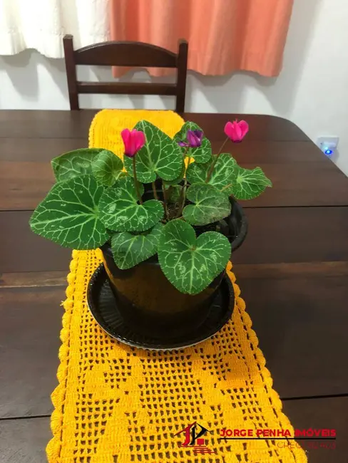 Foto 9 de Casa com 2 quartos à venda e para alugar, 150m2 em Itanhaem - SP