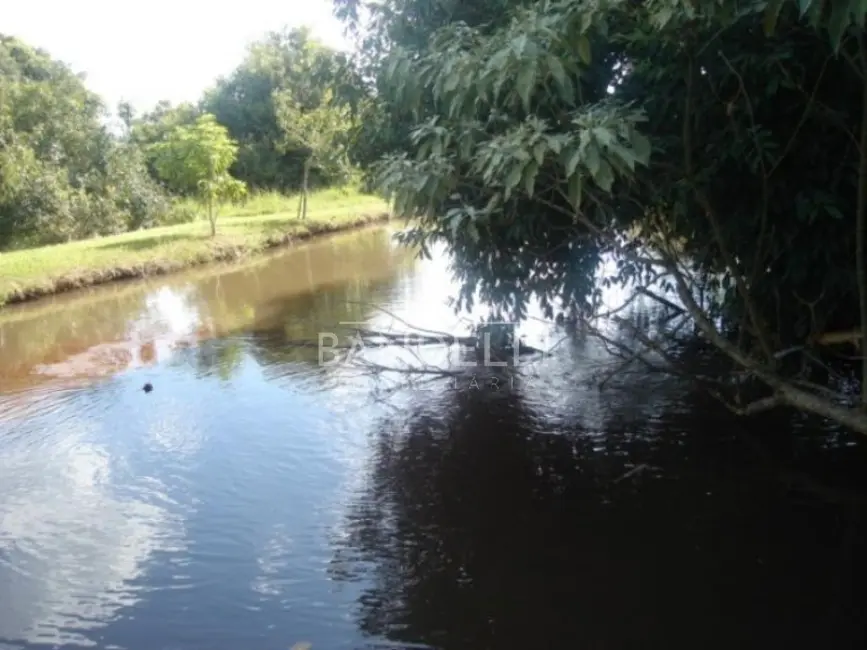 Foto 1 de Sítio / Rancho com 4 quartos à venda em Araraquara - SP