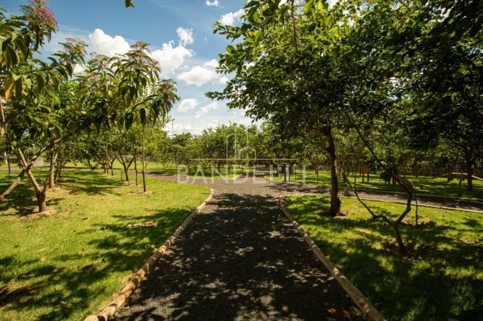 Foto 30 de Terreno / Lote à venda em Araraquara - SP