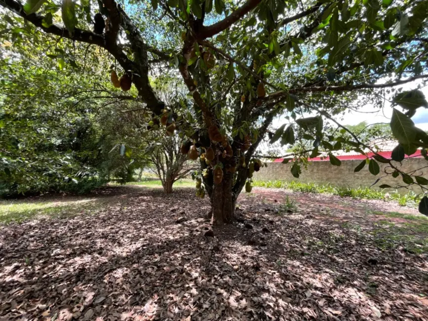 Chácara com 3 quartos à venda, 800m2 em Araraquara - SP - imagem 5 Foto 5 de Chácara com 3 quartos à venda, 800m2 em Araraquara - SP