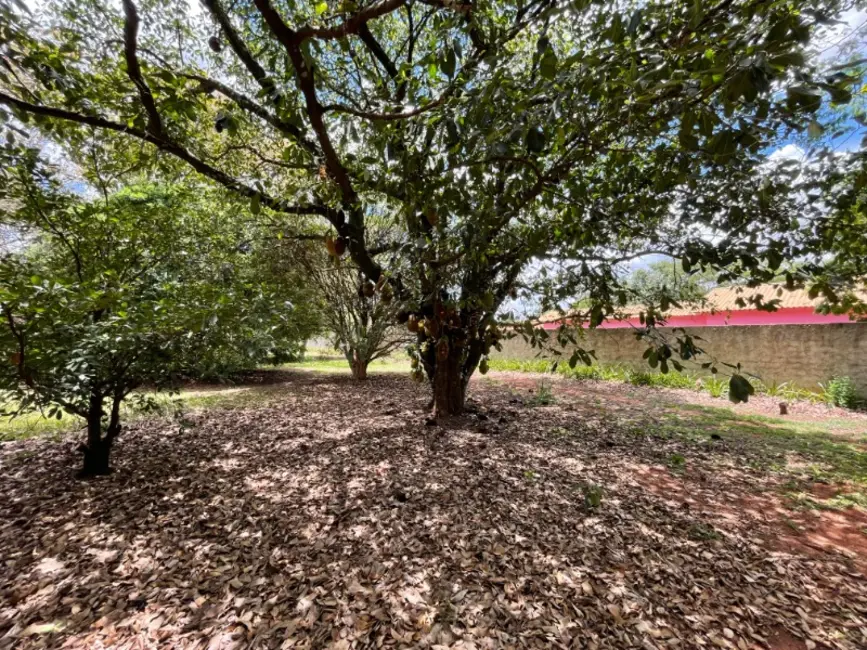 Chácara com 3 quartos à venda, 800m2 em Araraquara - SP - imagem 4 Foto 4 de Chácara com 3 quartos à venda, 800m2 em Araraquara - SP