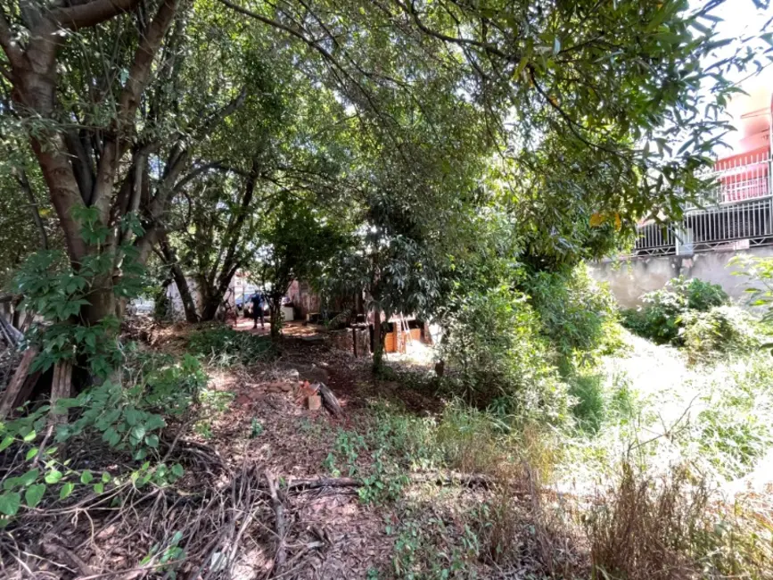 Terreno / Lote à venda em Jardim Ártico, Araraquara - SP - imagem 6 Foto 6 de Terreno / Lote à venda em Jardim Ártico, Araraquara - SP