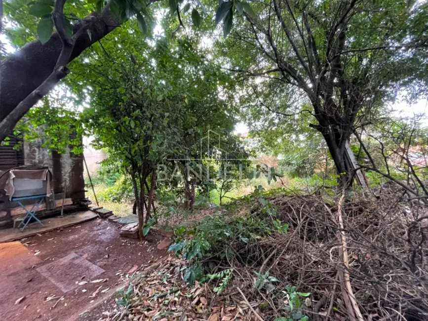 Foto 10 de Terreno / Lote à venda em Jardim Ártico, Araraquara - SP