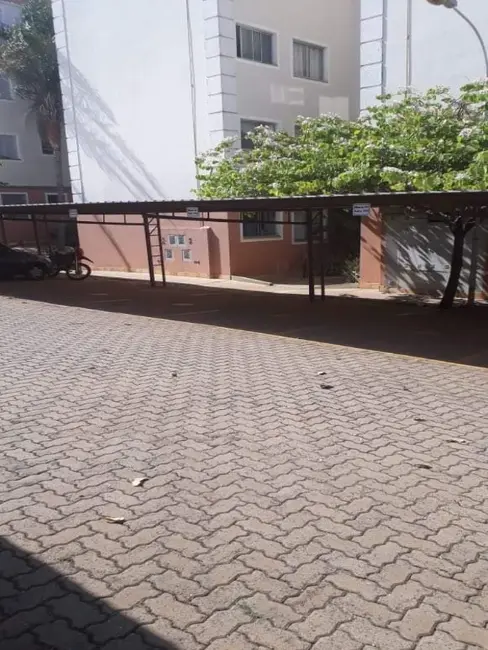 Apartamento com 2 quartos à venda, 50m2 em Jardim Residencial Elvio Lupo, Araraquara - SP - imagem 3 Foto 3 de Apartamento com 2 quartos à venda, 50m2 em Jardim Residencial Elvio Lupo, Araraquara - SP