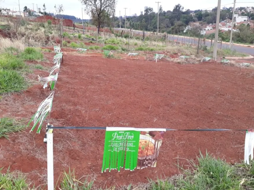 Foto 16 de Terreno / Lote à venda em Parque Igaçaba, Araraquara - SP