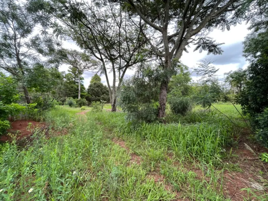 Chácara com 2 quartos à venda, 145m2 em Chácara Velosa, Araraquara - SP - imagem 6 Foto 6 de Chácara com 2 quartos à venda, 145m2 em Chácara Velosa, Araraquara - SP