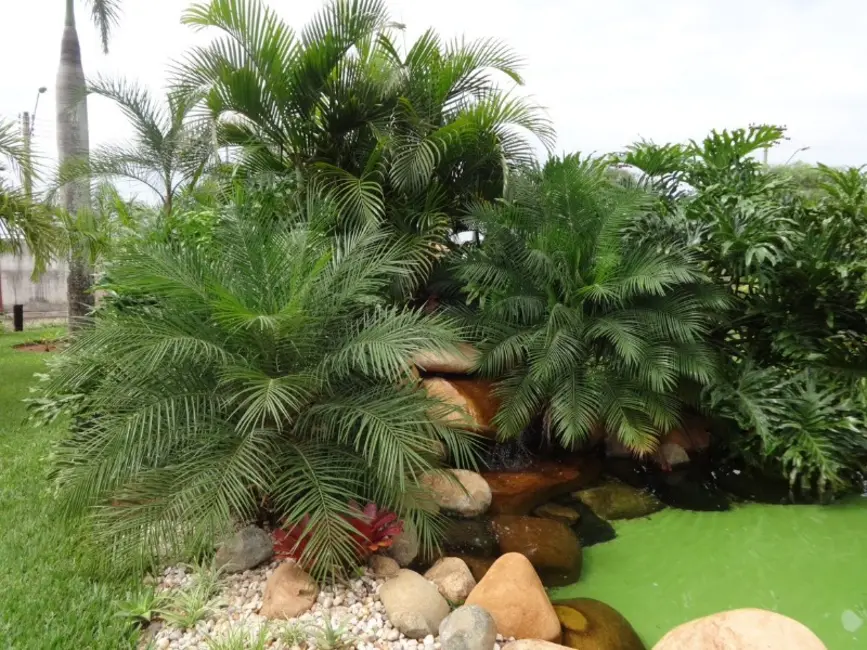 Casa de Condomínio com 5 quartos à venda, 1200m2 em Portal das Araucárias, Araraquara - SP - imagem 9 Foto 9 de Casa de Condomínio com 5 quartos à venda, 1200m2 em Portal das Araucárias, Araraquara - SP