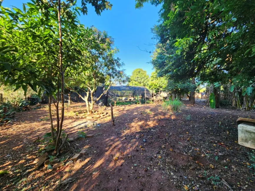 Foto 6 de Chácara com 4 quartos à venda, 3983m2 em Araraquara - SP