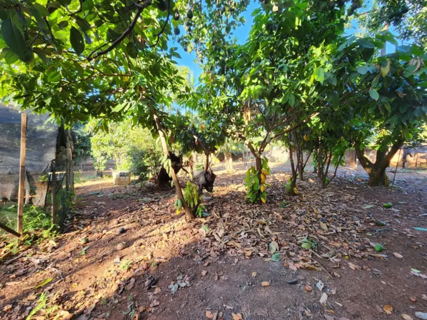 Foto 9 de Chácara com 4 quartos à venda, 3983m2 em Araraquara - SP