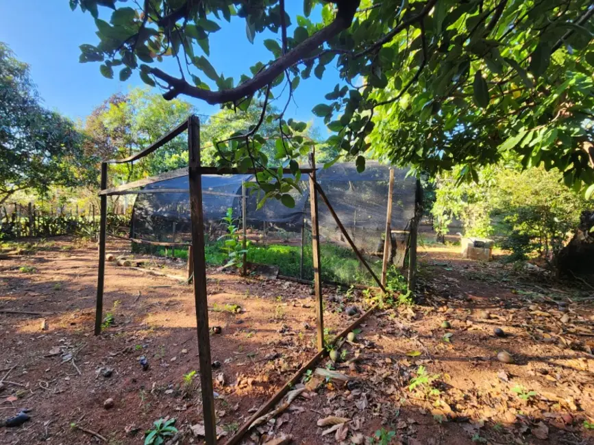 Foto 8 de Chácara com 4 quartos à venda, 3983m2 em Araraquara - SP