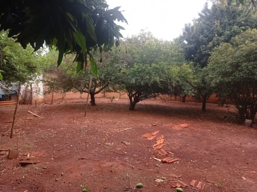 Foto 8 de Terreno / Lote à venda, 1152m2 em Vila José Bonifácio, Araraquara - SP