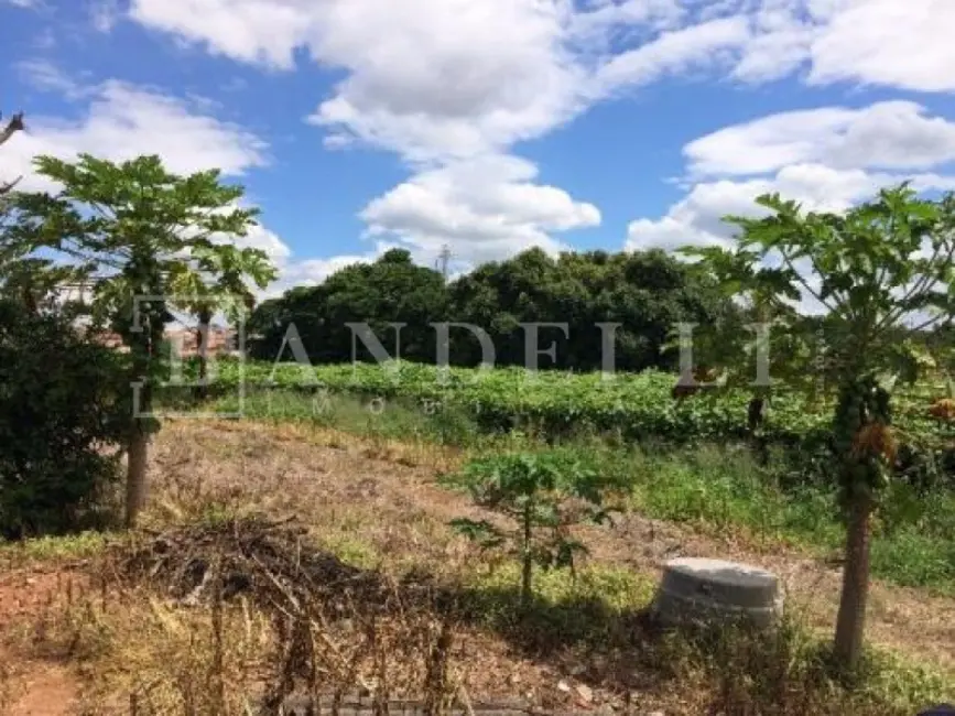 Terreno / Lote à venda, 800m2 em Jardim São Francisco, Araraquara - SP - imagem 8 Foto 8 de Terreno / Lote à venda, 800m2 em Jardim São Francisco, Araraquara - SP