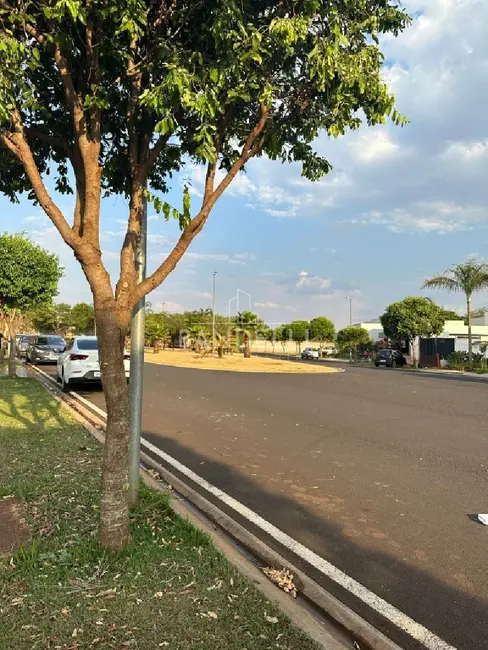 Terreno / Lote à venda em Araraquara - SP - imagem 3 Foto 3 de Terreno / Lote à venda em Araraquara - SP