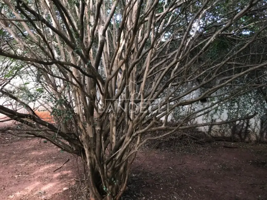 Foto 21 de Casa com 3 quartos à venda, 180m2 em Jardim Primavera, Araraquara - SP