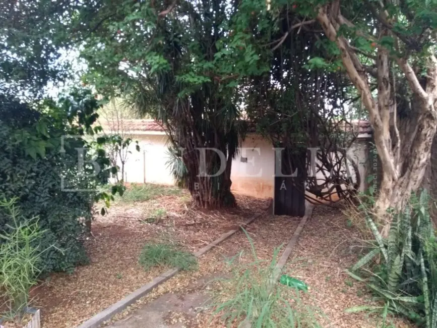 Foto 2 de Casa com 3 quartos à venda, 60m2 em Centro, Araraquara - SP