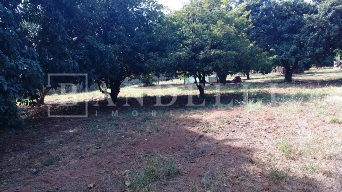 Chácara à venda, 2250m2 em Chácara Velosa, Araraquara - SP - imagem 9 Foto 9 de Chácara à venda, 2250m2 em Chácara Velosa, Araraquara - SP
