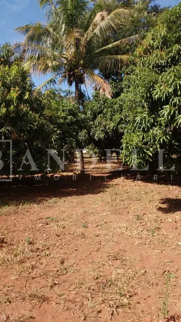 Foto 14 de Chácara à venda, 2250m2 em Chácara Velosa, Araraquara - SP