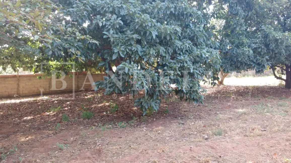 Chácara à venda, 2250m2 em Chácara Velosa, Araraquara - SP - imagem 6 Foto 6 de Chácara à venda, 2250m2 em Chácara Velosa, Araraquara - SP
