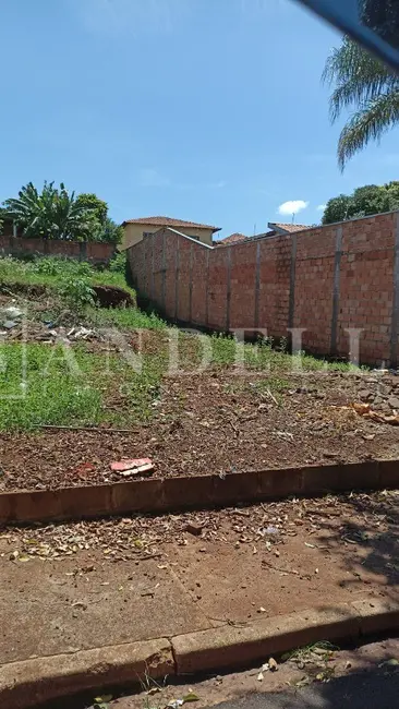 Foto 2 de Terreno / Lote à venda em Parque Alvorada, Araraquara - SP