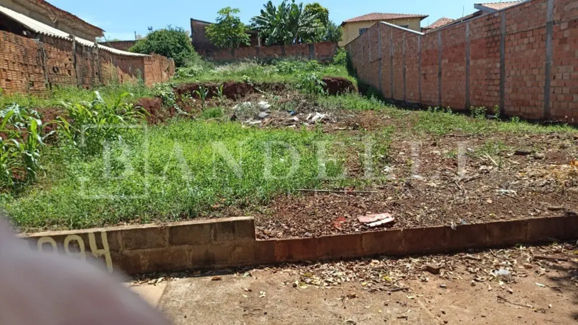 Foto 3 de Terreno / Lote à venda em Parque Alvorada, Araraquara - SP