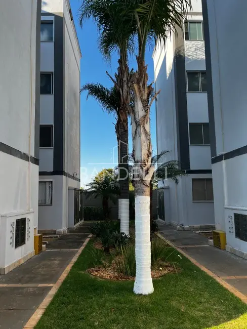 Apartamento com 2 quartos à venda e para alugar, 49m2 em Jardim Primor, Araraquara - SP - imagem 5 Foto 5 de Apartamento com 2 quartos à venda e para alugar, 49m2 em Jardim Primor, Araraquara - SP