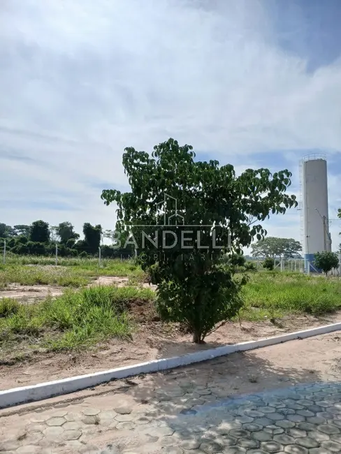Foto 4 de Terreno / Lote à venda em Borborema - SP