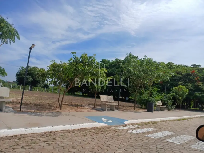 Foto 3 de Terreno / Lote à venda em Borborema - SP