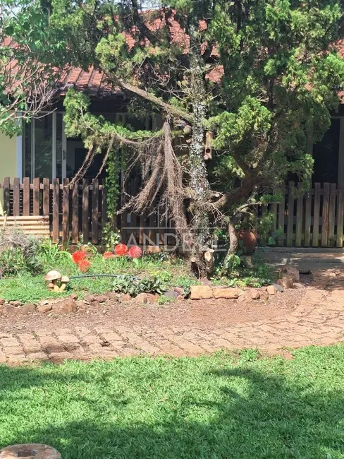 Chácara com 5 quartos à venda, 701m2 em Chácara Flora Araraquara, Araraquara - SP - imagem 8 Foto 8 de Chácara com 5 quartos à venda, 701m2 em Chácara Flora Araraquara, Araraquara - SP