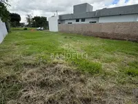 Imagem 5