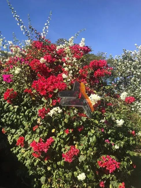 Foto 6 de Casa de Condomínio com 3 quartos à venda, 3800m2 em Condomínio Monte Belo, Salto - SP