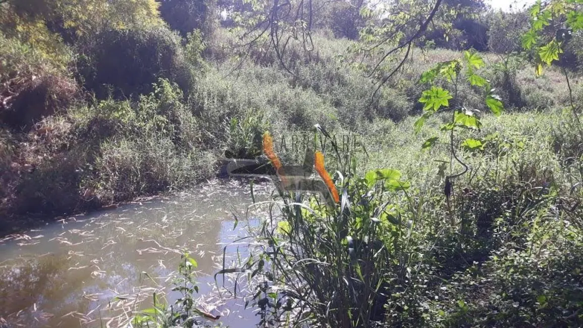 Foto 3 de Sala Comercial à venda, 185000m2 em Centro, Elias Fausto - SP