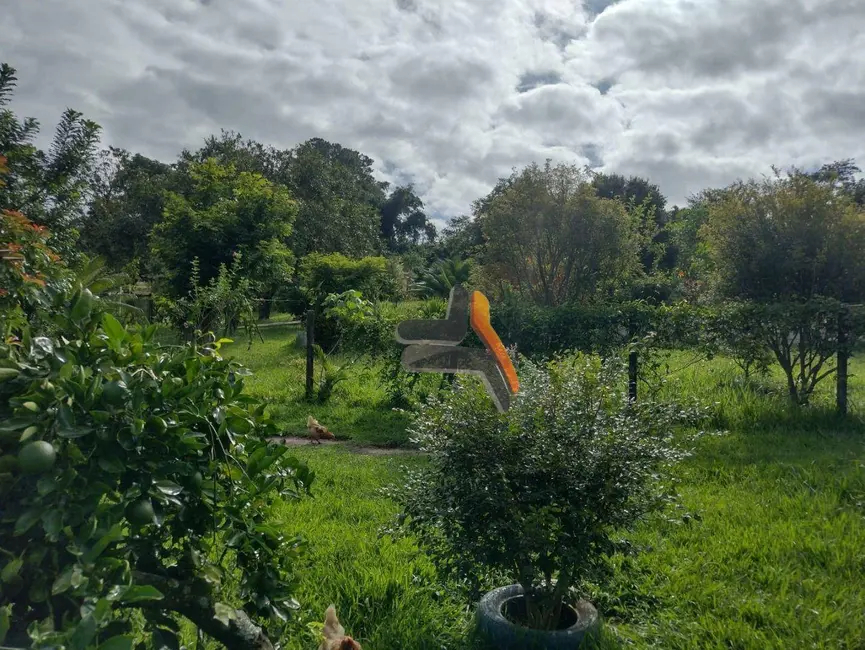 Foto 5 de Chácara com 4 quartos à venda, 5727m2 em Chácara Iracema, Salto - SP