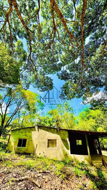 Foto 5 de Chácara à venda, 7829m2 em Rosa dos Ventos, Aparecida De Goiania - GO