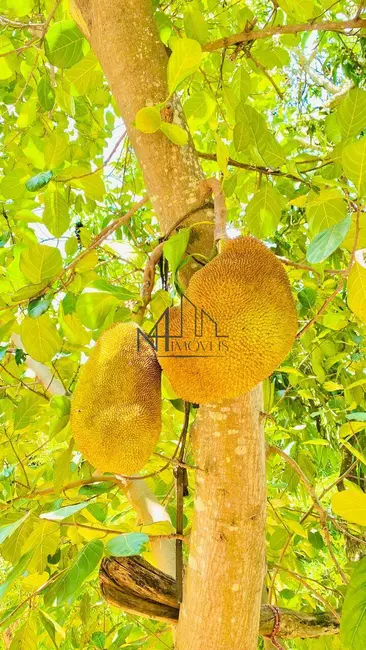 Foto 4 de Chácara à venda, 7829m2 em Rosa dos Ventos, Aparecida De Goiania - GO