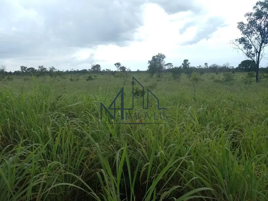 Foto 8 de Fazenda / Haras à venda, 16777215m2 em Arraias - TO