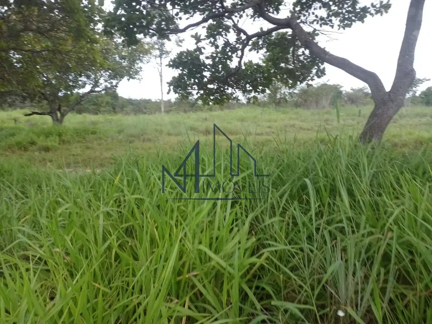 Foto 9 de Fazenda / Haras à venda, 16777215m2 em Arraias - TO