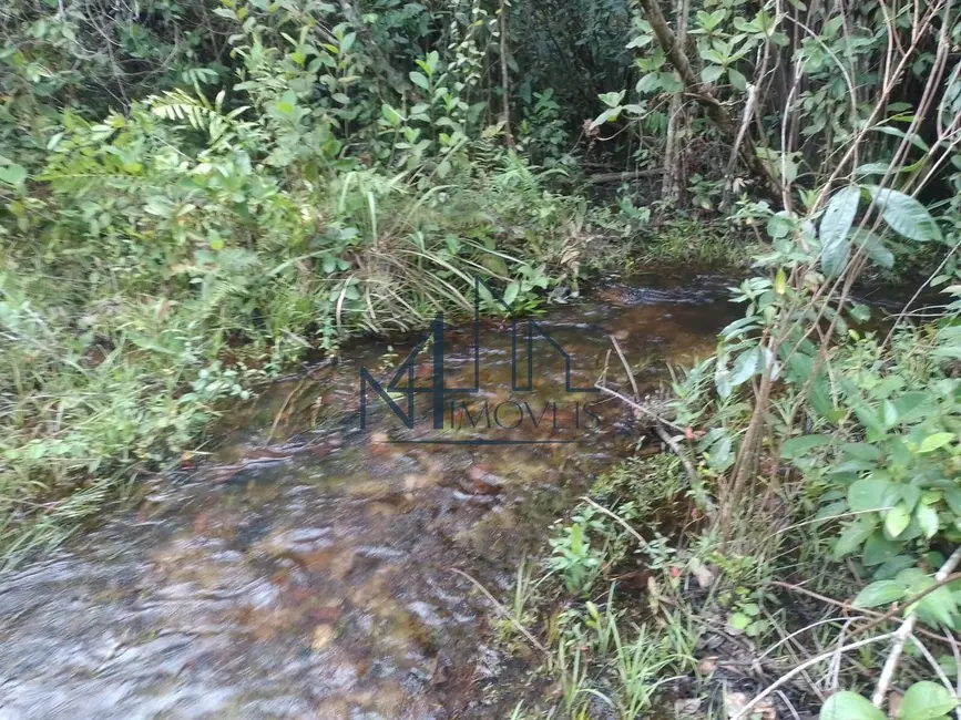 Foto 6 de Fazenda / Haras à venda, 16777215m2 em Arraias - TO