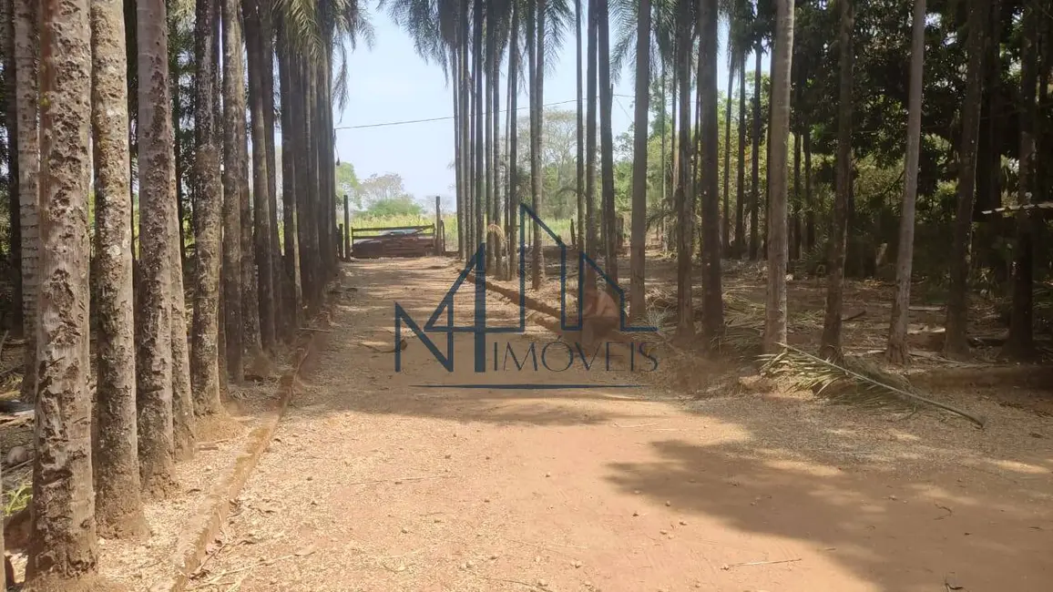 Foto 3 de Chácara à venda em Itapoã, Aparecida De Goiania - GO