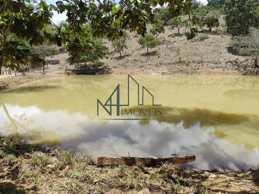 Foto 11 de Fazenda / Haras à venda em Hidrolandia - GO