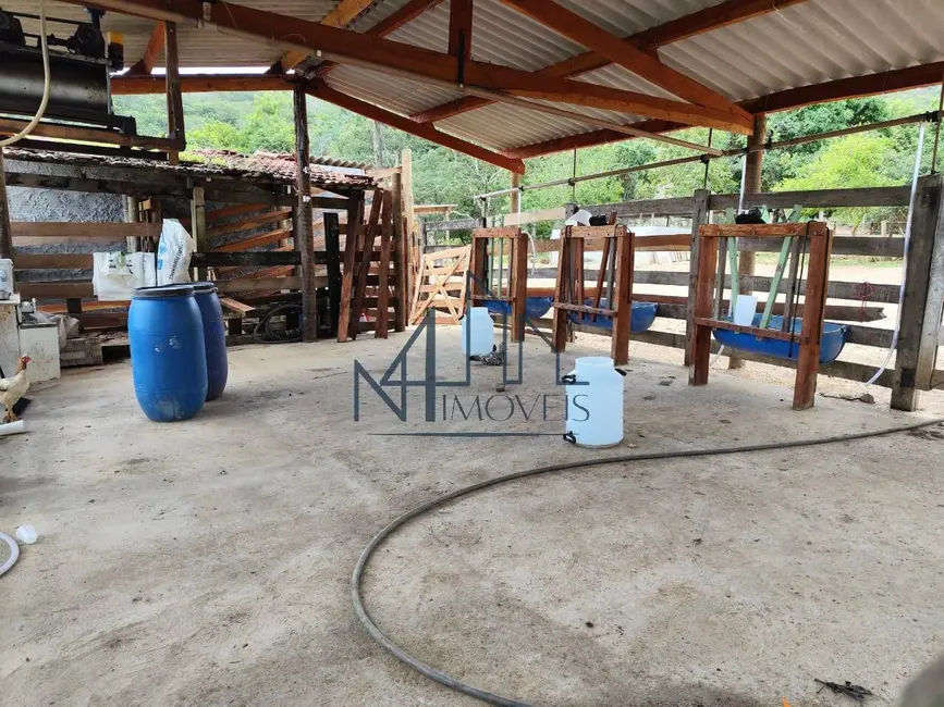 Foto 7 de Fazenda / Haras à venda em Hidrolandia - GO