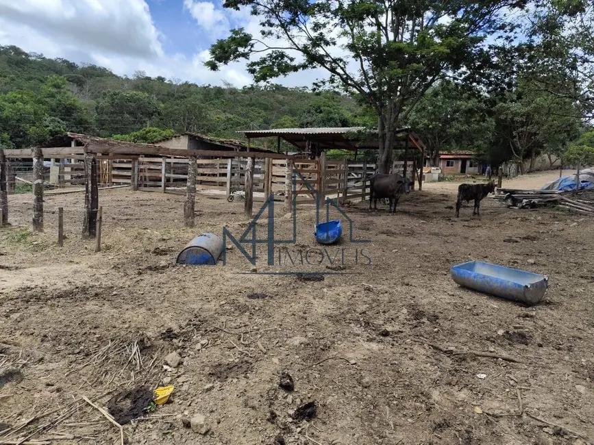 Foto 4 de Fazenda / Haras à venda em Hidrolandia - GO