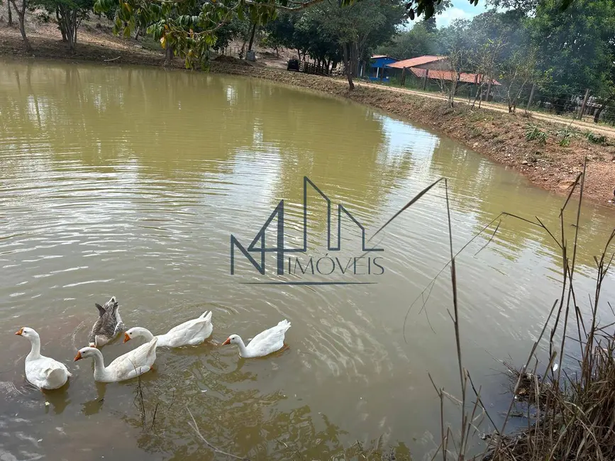 Foto 10 de Fazenda / Haras à venda em Hidrolandia - GO