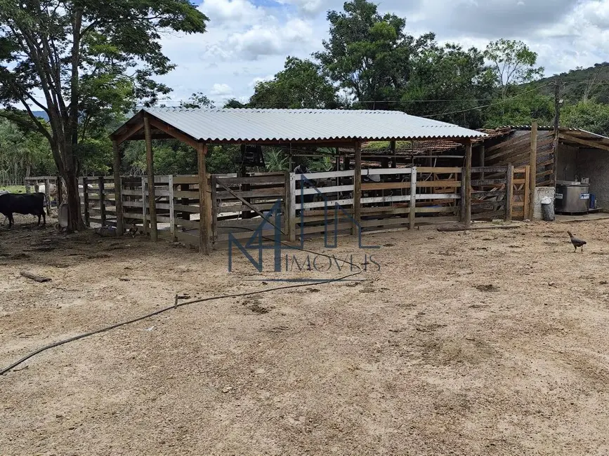 Foto 18 de Fazenda / Haras à venda em Hidrolandia - GO