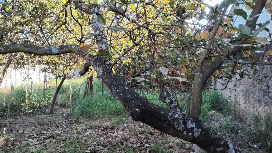 Foto 4 de Terreno / Lote à venda, 405m2 em Setor Araguaia, Aparecida De Goiania - GO