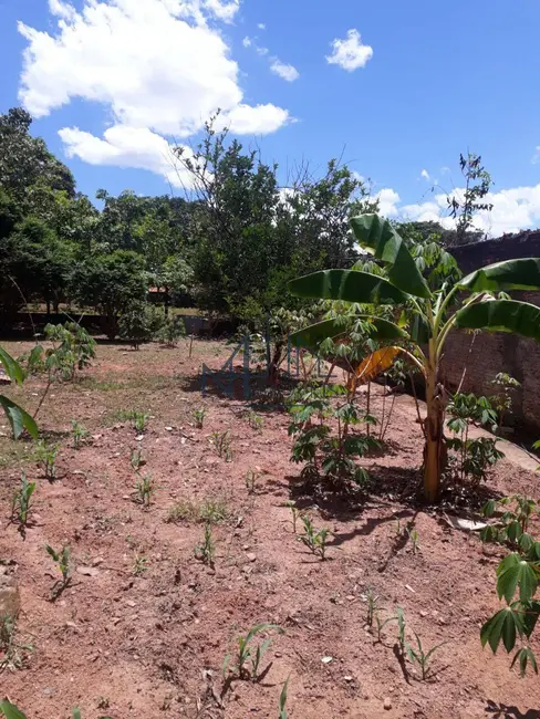 Foto 8 de Chácara com 4 quartos à venda, 5000m2 em Sítios Vale das Brisas, Senador Canedo - GO