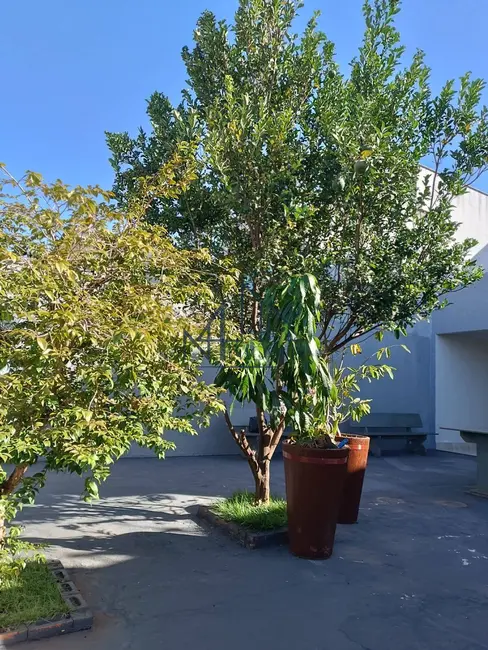 Sobrado com 3 quartos à venda, 124m2 em Papillon Park, Aparecida De Goiania - GO - imagem 3 Foto 3 de Sobrado com 3 quartos à venda, 124m2 em Papillon Park, Aparecida De Goiania - GO