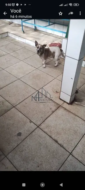 Foto 5 de Casa com 2 quartos à venda, 360m2 em Jardim Dom Bosco, Aparecida De Goiania - GO